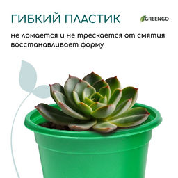 Цена за 2 шт. Горшок для рассады, 500 мл, d=11 см, h=8.5 см, мягкий пластик, зелёный, набор 10 шт., Greengo