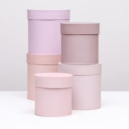 Набор шляпных подарочных коробок 5 в 1 Пудра,20?20?20?13.5?13.5?13.5 см