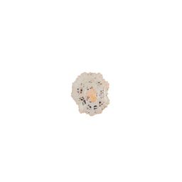 Blumentag / Zlatka DRF-011 Ракушки морские 100 г  5 г 2.5 см Patella Sacharina