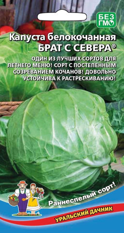 Капуста БРАТ С СЕВЕРА Один из лучших сортов для летнего меню! Сорт с постепенным созреванием кочанов! Довольно устойчива к растрескиванию!