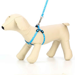 Комплект Классика, капрон, поводок 120 х 1 см, ОГ 21-35 см, голубой - Пижон фото 2