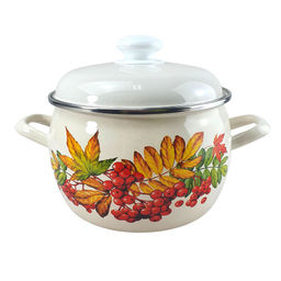 Кастрюля 3,5л "Рябина" С-4213АП2/4Жм