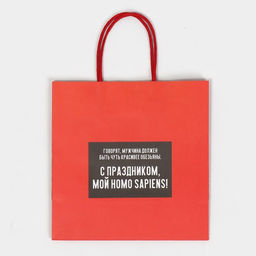 Цена за 2 шт. Пакет подарочный, упаковка, Обезьяна, 22?22?11 см