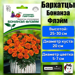Бархатцы отклоненные Бонанза Флэйм - Партнер фото 2