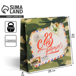 Цена за 2 шт. Пакет подарочный ламинированный, упаковка, С 23 февраля, ML 25?21?8 см