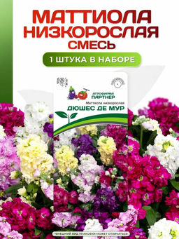 3321P Маттиола низкорослая ДЮШЕС ДЕ МУР 10шт
