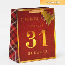 Пакет ламинированный вертикальный С Новым Годом, 21,5 25 10 см
