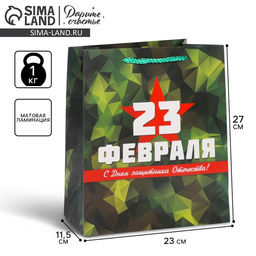 Цена за 2 шт. Пакет подарочный ламинированный, упаковка, «С 23 февраля», ML 23×27×11.5 см