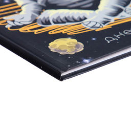 Цена за 3 шт. Дневник школьный для 1-4 классов, «Космонавт», твёрдая обложка 7БЦ, матовая ламинация, 48 листов