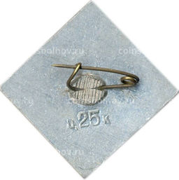 Значок Дмитрий Фурманов  100 лет со дня рождения