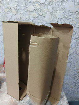 Ромашка садовая