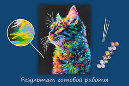 ФРЕЯ PNB/PMB-294 Набор для раскрашивания по номерам ( эффект черного холста ) 40 х 30 см Портрет котика