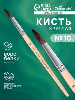 Цена за 10 шт. Кисть для рисования, белка, № 10, круглая, деревянная ручка, международный размер