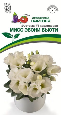 Эустома карликовая айвори Мисс Эбони Бьютти