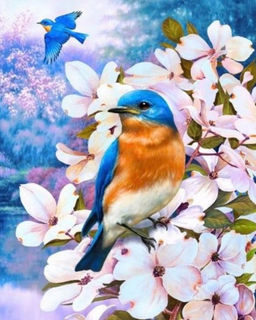 Алмазная мозаика на подрамнике 40х50