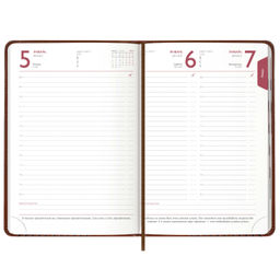 Ежедневник датированный 2024 ESCALADA, А6+, 176 л., арт. 63787/ 20 САРИФ КОРИЧНЕВЫЙ  фото 12