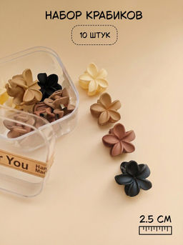 Набор крабиков для волос в боксе (10 шт)