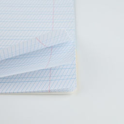 Тетрадь 12 листов в частую косую линейку Учись на 5+, обложка мелованный картон, блок №1, 5 видов МИКС - Artfox study фото 10