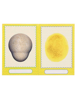 Книга с наклейками, сделай своего чудика «Маня Ми»