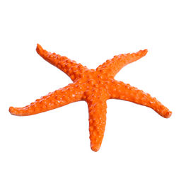 Набор животных «Подводные жители», МИКС