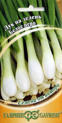 Белое перо лук на зелень 0,5г (г)