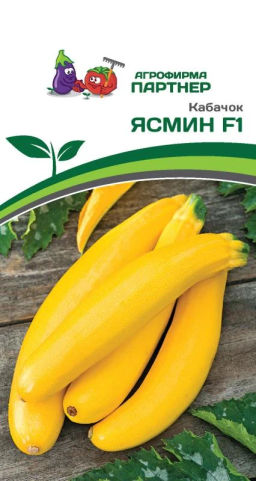 Кабачок Ясмин