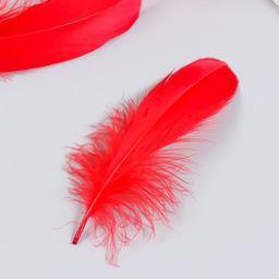 Набор декоративных перьев 160-190 мм (5 шт), красный