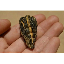 КамлёвЪ Связанный чай Османтус в золотой чаше (Osmantus in Gold Cup) - Камлевъ фото 18