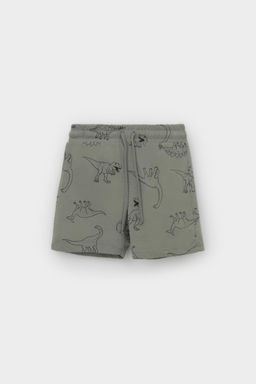 КР 400666/зеленый чай,динозавры к552 шорты д/мал яс