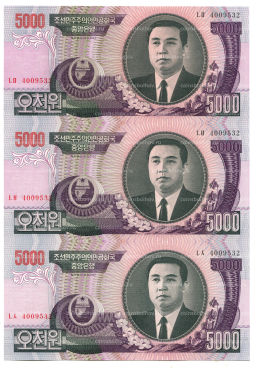 Банкнота 5000 вон 2006 года Северная Корея Лист из трех банкнот