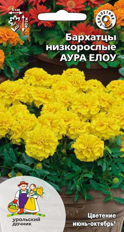 Бархатцы АУРА ЕЛОУ низкорослые