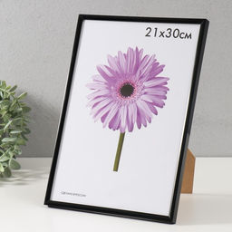 Фоторамка для фото 21×30 см Lida, пластик, чёрный