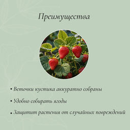 Цена за 10 шт. Кустодержатель для клубники, d=30.5 см, пластик, зелёный - Simaland фото 2