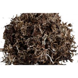 Мох исландский 40 гр.