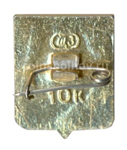 Значок Суздаль