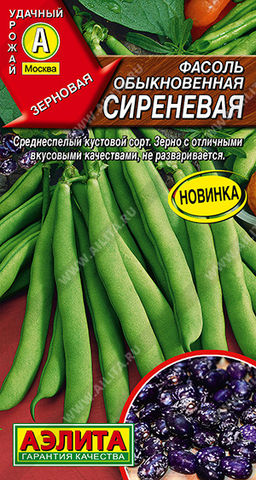 Фасоль обыкновенная Сиреневая