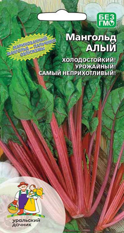 Мангольд АЛЫЙ