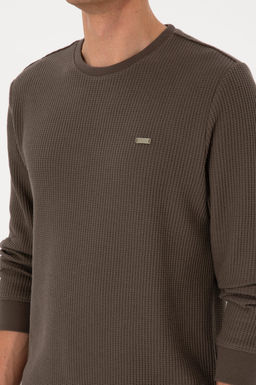 Erkek Bisiklet Yaka Regular Fit Petek Dokulu Vizon Sweatshirt - U.s. polo assn фото 7