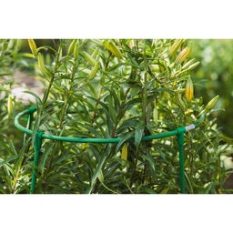 Кустодержатель, d=50 см, h=100 см, ножка d=1 см, металл, зелёный, троеножка