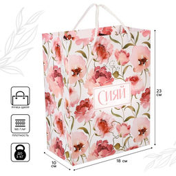Пакет подарочный «Сияй»,18×23×10 см, упаковка, Принцессы