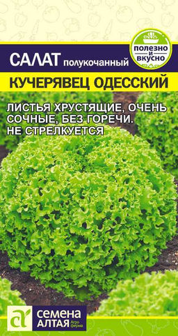 Зелень Салат Кучерявец Одесский/Сем Алт/цп 0,5 гр.
