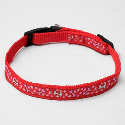 Ошейник нейлоновый Звездные косточки, 36 х 1,5 см, красный