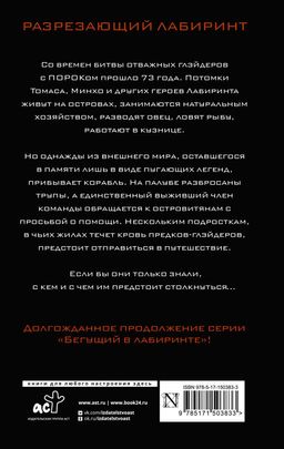 Разрезающий лабиринт