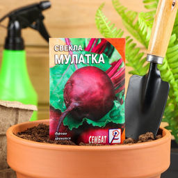 Цена за 5 шт. Семена Свекла "Мулатка", 2 г