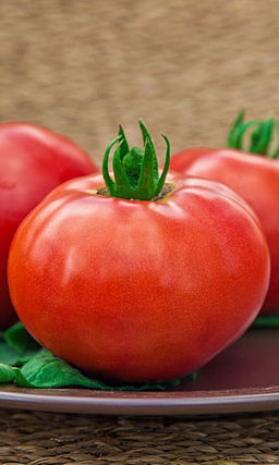 Томат КАРНАВАЛ F1 Рекордная урожайность! Суперранний! Неприхотливый! Томаты мясистые, очень вкусные! Плоды хорошо транспортируются!