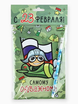 Подарочный набор, анкета для мальчиков и ручка «23 февраля! Пилот»