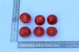 Томат Малиновый Коктейль - Партнер фото 5