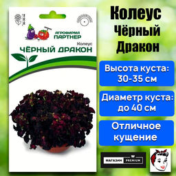 3315P Колеус ЧЁРНЫЙ ДРАКОН 10шт