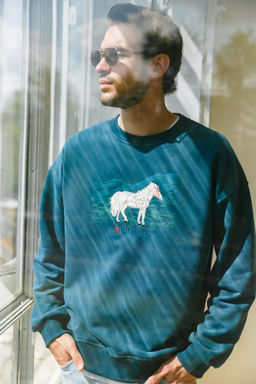 Свитшот Altai Horse мужской