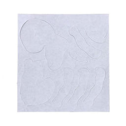 Набор для опытов «Ледниковая эпоха», скелет мамонта